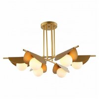 Favourite Kernel 2366-6P