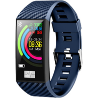 Smarterra FitMaster Pulsar