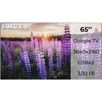 Витязь 65LU1250